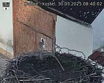 Capi_Dubne_20250330_084002.jpg