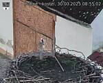 Capi_Dubne_20250330_085502.jpg