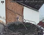 Capi_Dubne_20250330_091504.jpg