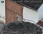 Capi_Dubne_20250330_092503.jpg