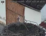Capi_Dubne_20250330_093004.jpg