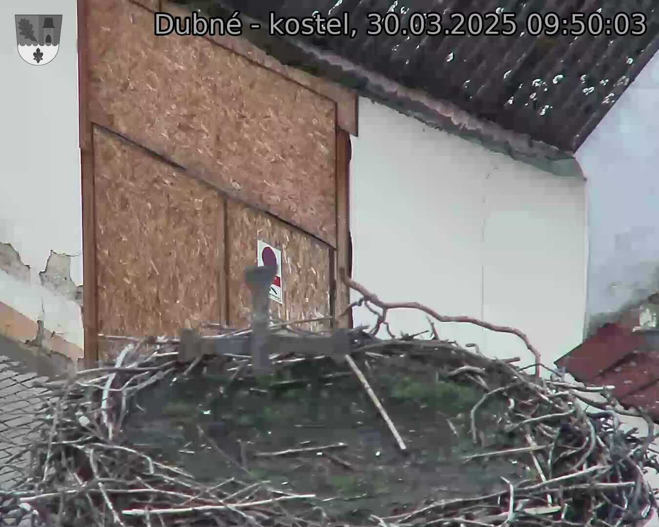 Capi_Dubne_20250330_095003.jpg (1350 x 1080)