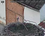 Capi_Dubne_20250330_100002.jpg