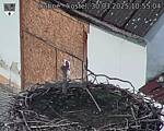 Capi_Dubne_20250330_105504.jpg