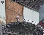 Capi_Dubne_20250330_112503.jpg