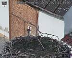 Capi_Dubne_20250330_113503.jpg