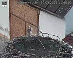 Capi_Dubne_20250330_114503.jpg