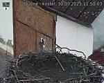 Capi_Dubne_20250330_115003.jpg