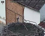 Capi_Dubne_20250330_115504.jpg