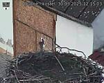 Capi_Dubne_20250330_121503.jpg