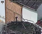 Capi_Dubne_20250330_132003.jpg
