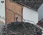 Capi_Dubne_20250330_132504.jpg