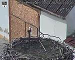 Capi_Dubne_20250330_134003.jpg