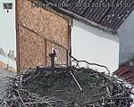 Capi_Dubne_20250330_134502.jpg