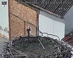 Capi_Dubne_20250330_140502.jpg