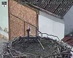 Capi_Dubne_20250330_141003.jpg