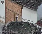 Capi_Dubne_20250330_142502.jpg
