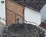 Capi_Dubne_20250330_143004.jpg