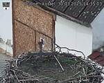 Capi_Dubne_20250330_143503.jpg