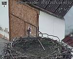 Capi_Dubne_20250330_144002.jpg