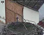 Capi_Dubne_20250330_144502.jpg
