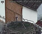 Capi_Dubne_20250330_150002.jpg
