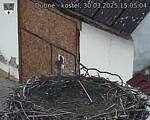 Capi_Dubne_20250330_150504.jpg