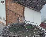 Capi_Dubne_20250330_152004.jpg