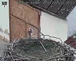 Capi_Dubne_20250330_153003.jpg