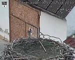 Capi_Dubne_20250330_162003.jpg