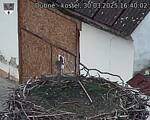 Capi_Dubne_20250330_164002.jpg
