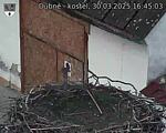 Capi_Dubne_20250330_164503.jpg