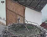 Capi_Dubne_20250330_171003.jpg