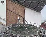 Capi_Dubne_20250330_182002.jpg