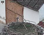 Capi_Dubne_20250330_183503.jpg