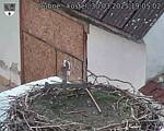 Capi_Dubne_20250330_190502.jpg
