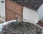 Capi_Dubne_20250330_191002.jpg