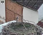 Capi_Dubne_20250330_192003.jpg