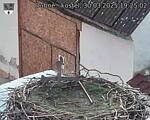 Capi_Dubne_20250330_192502.jpg