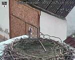 Capi_Dubne_20250330_193503.jpg