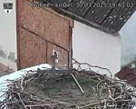 Capi_Dubne_20250330_194002.jpg