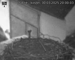 Capi_Dubne_20250330_200003.jpg