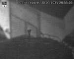 Capi_Dubne_20250330_205503.jpg