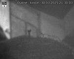 Capi_Dubne_20250330_213003.jpg