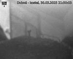 Capi_Dubne_20250330_215003.jpg