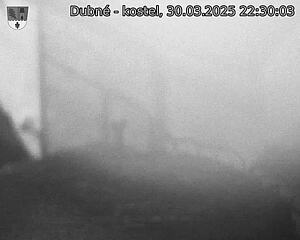Capi_Dubne_20250330_223003.jpg (1350 x 1080)