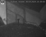 Capi_Dubne_20250330_233503.jpg