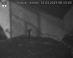 Capi_Dubne_20250331_001503.jpg