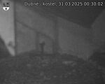 Capi_Dubne_20250331_003002.jpg