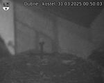 Capi_Dubne_20250331_005003.jpg